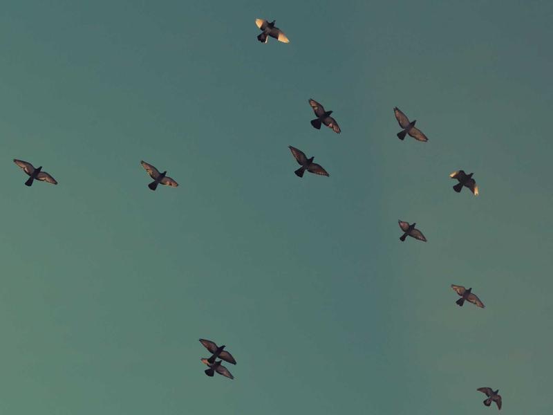 Dettaglio ravvicinato di un componente tecnologico di alta qualità in metallo