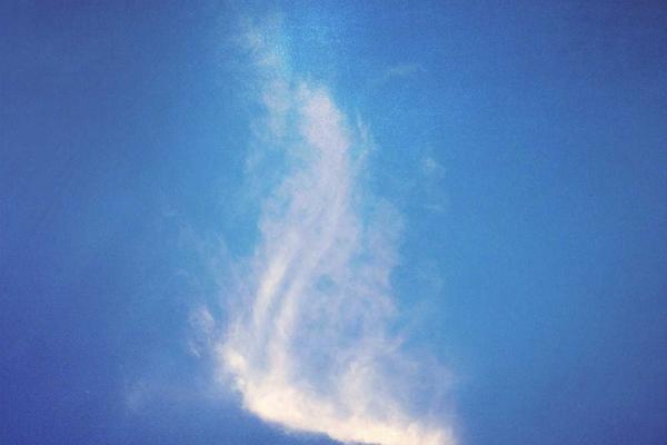 Dispositivo tecnologico dal design raffinato integrato in un ambiente domestico elegante