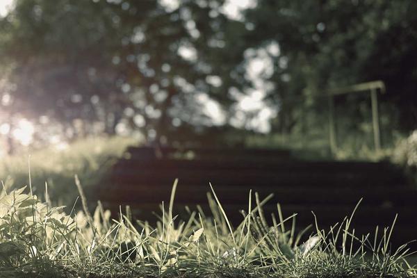 Abitazione con domotica integrata e design d'interni raffinato