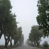 Beoplay H95 — vista 2