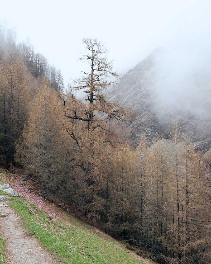 Apple iPad Pro 12,9"